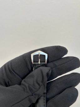 Platinum, image 4 Platinum, image 4