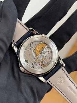 Platinum, image 6 Platinum, image 6