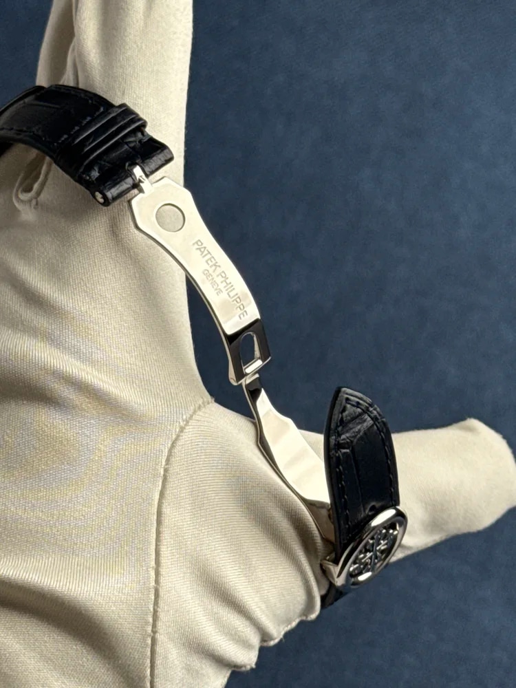 Platinum, image 7 Platinum, image 7