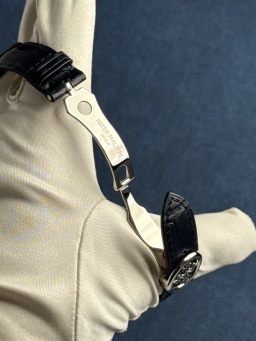 Platinum, image 7 Platinum, image 7