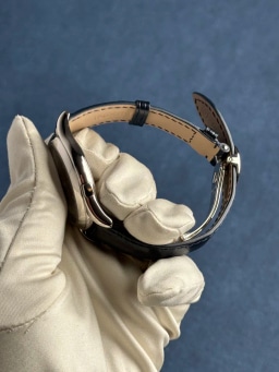 Platinum, image 4 Platinum, image 4