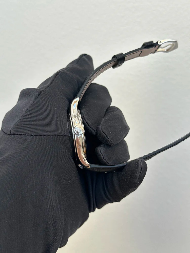 Platinum, image 2 Platinum, image 2