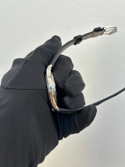 Platinum, image 2 Platinum, image 2