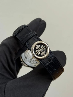 Platinum, image 4 Platinum, image 4