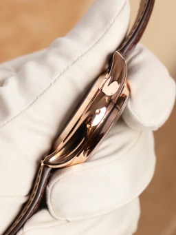 Patek Philippe Annual Calendar Chronograph 5905R-001, image 10 Patek Philippe Annual Calendar Chronograph 5905R-001, image 10