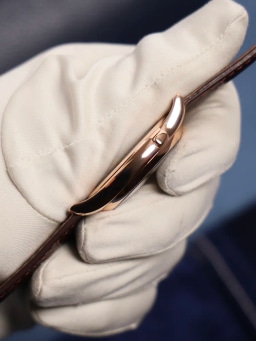 Patek Philippe World Time, image 2 Patek Philippe World Time, image 2