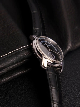 Retrograde Platinum, image 2 Retrograde Platinum, image 2