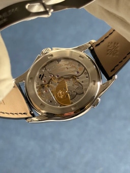 Platinum, image 9 Platinum, image 9