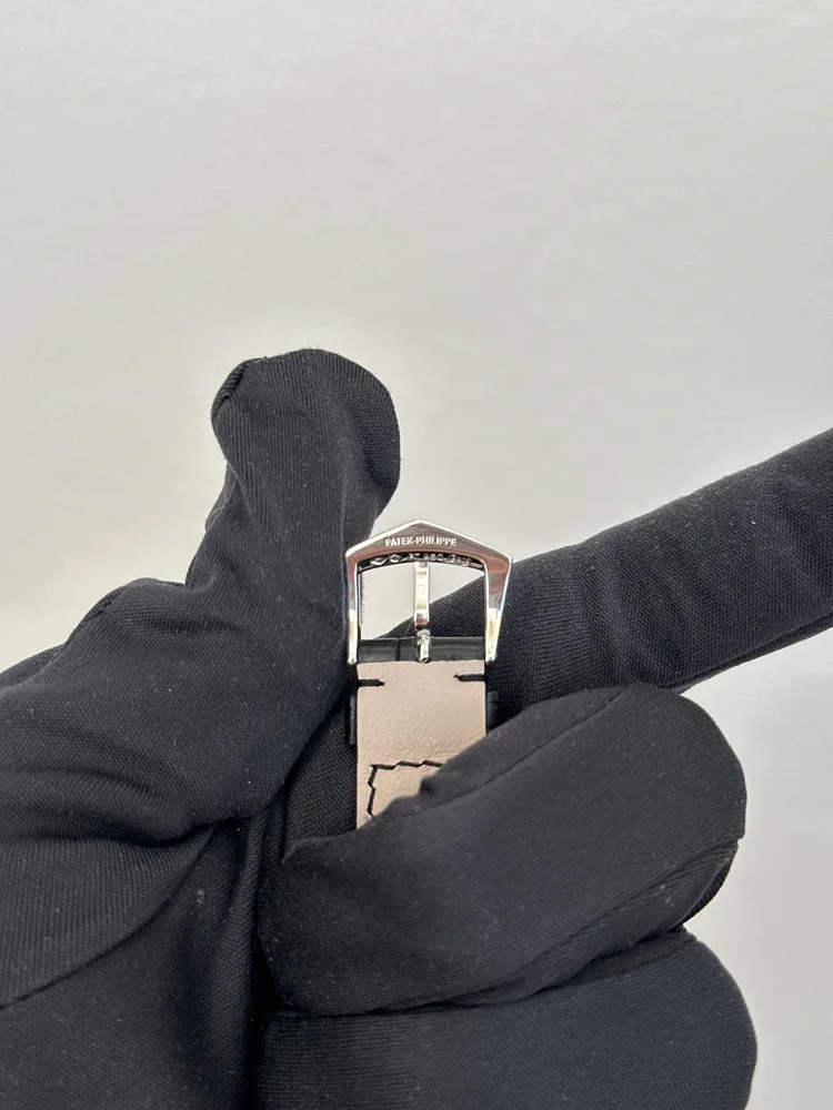 Platinum, image 5 Platinum, image 5