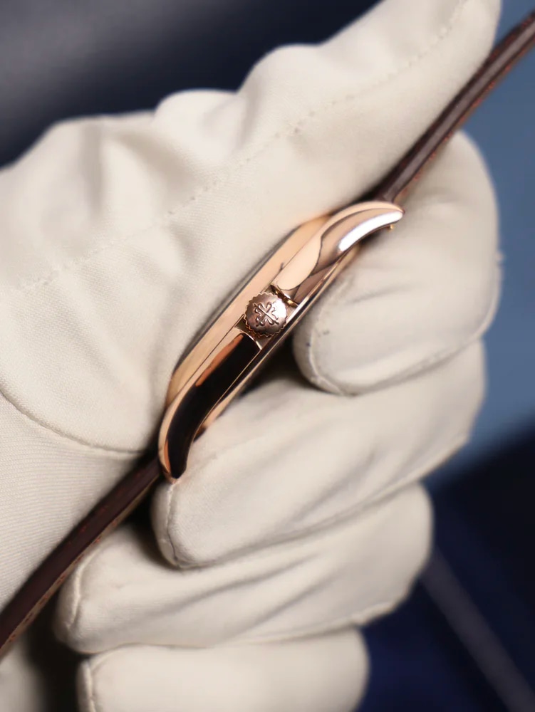 Patek Philippe World Time, image 3 Patek Philippe World Time, image 3