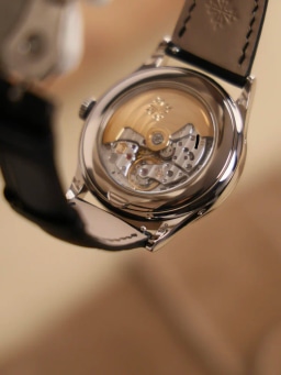 Patek Philippe Annual Calendar White Gold, image 7 Patek Philippe Annual Calendar White Gold, image 7