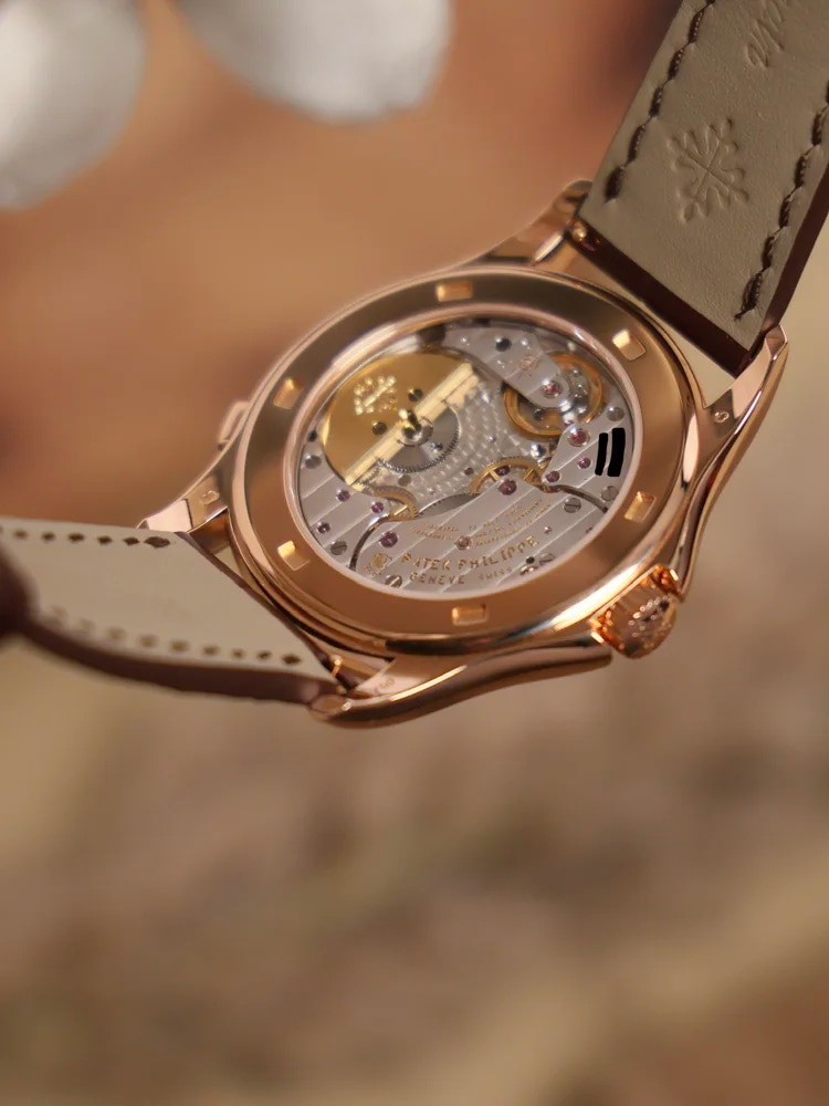 Patek Philippe World Time Box & Papers 2009, image 9 Patek Philippe World Time Box & Papers 2009, image 9