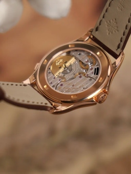 Patek Philippe World Time Box & Papers 2009, image 9 Patek Philippe World Time Box & Papers 2009, image 9