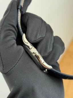 Platinum, image 2 Platinum, image 2