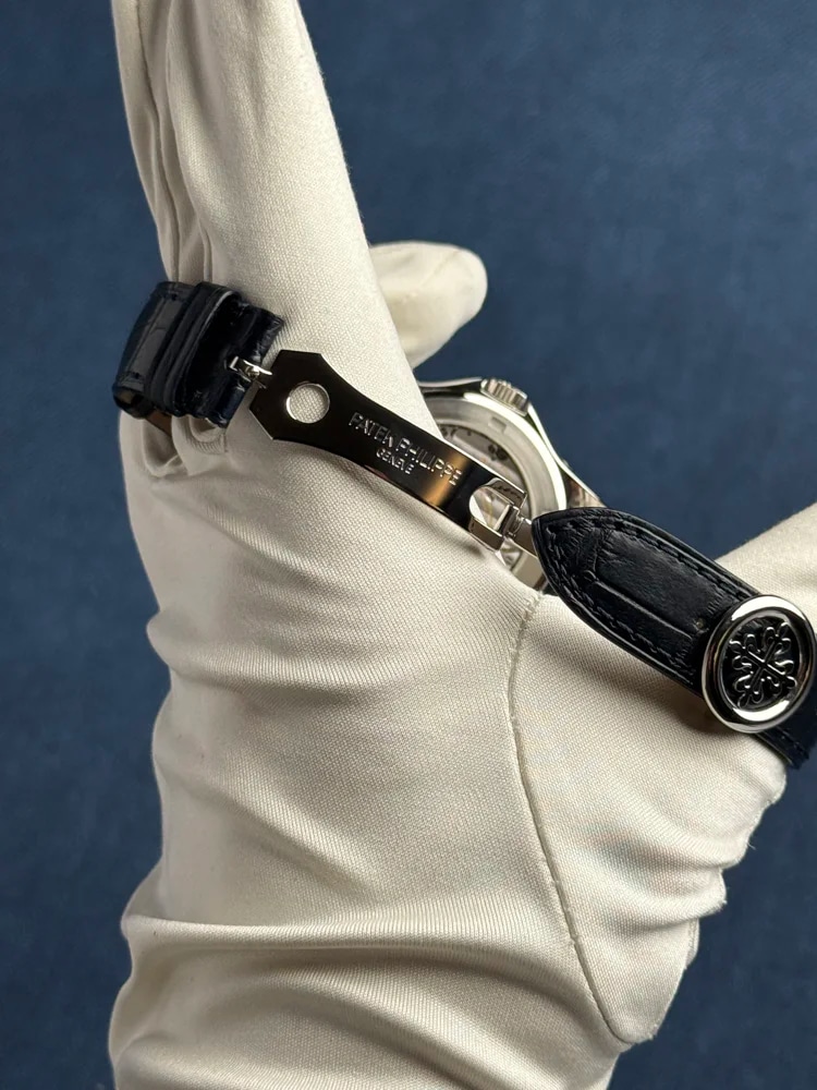 Platinum, image 8 Platinum, image 8