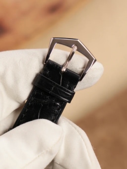 Patek Philippe Annual Calendar Platinum 5056P-001, image 8 Patek Philippe Annual Calendar Platinum 5056P-001, image 8