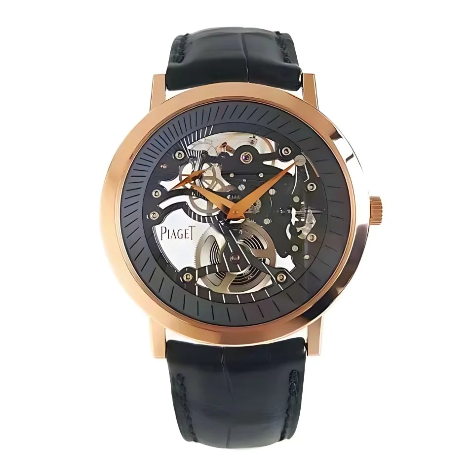 Skeleton, image 1 Skeleton, image 1