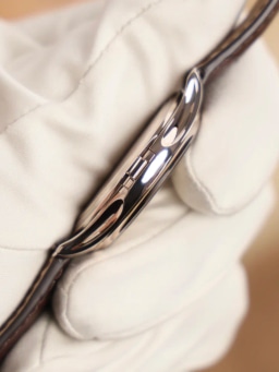 White Gold, image 3 White Gold, image 3