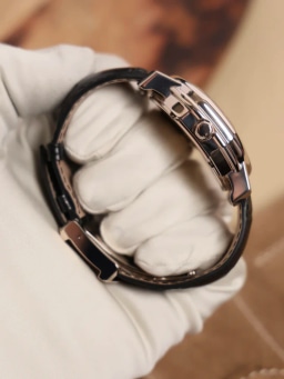 Ellipsocurvex Papillon WG Limited Edition 210 pcs, image 3 Ellipsocurvex Papillon WG Limited Edition 210 pcs, image 3